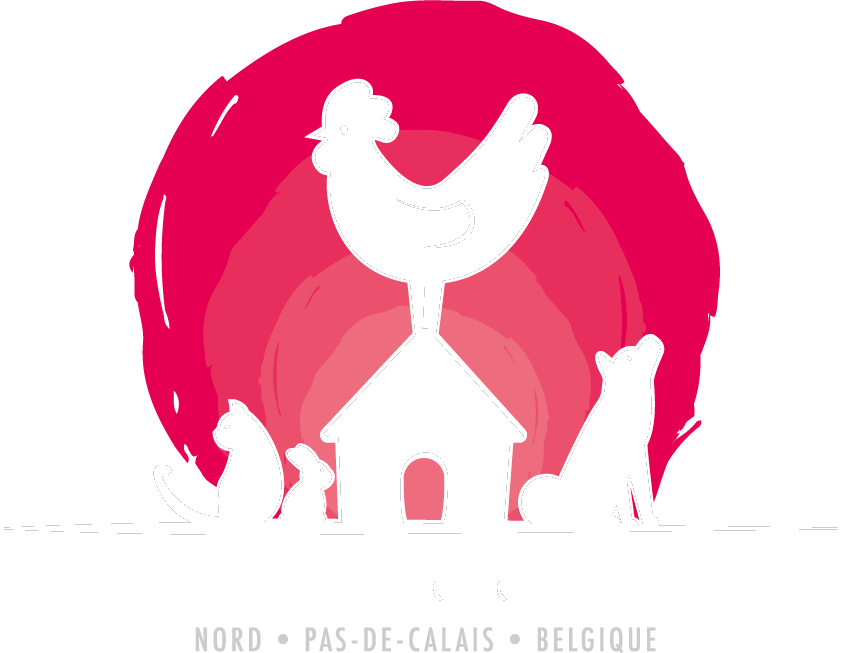 Les Ch'tites Cocottes & Cie