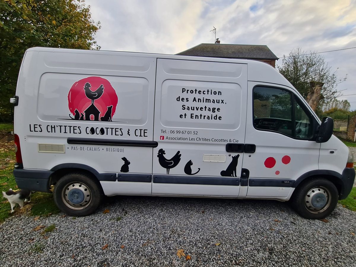 La camionnette de l'association lors d'une sortie de poules réformées